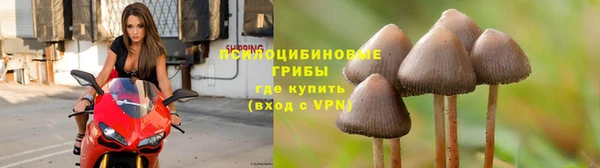 ALPHA PVP Алексин