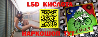 крисы Гатчина