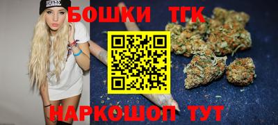 крисы Гатчина
