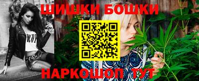 крисы Гатчина