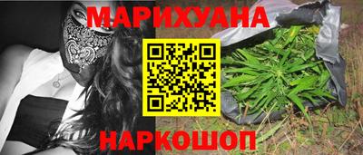 крисы Гатчина