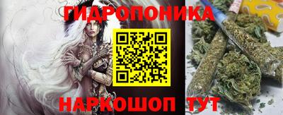 крисы Гатчина
