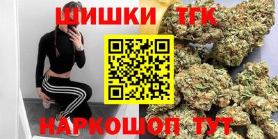 крисы Гатчина