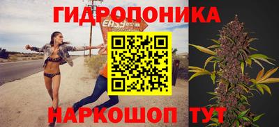 крисы Гатчина