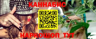 крисы Гатчина
