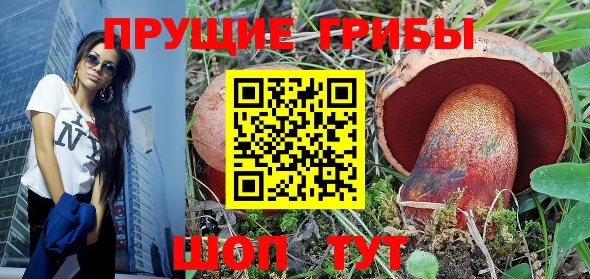 Губкин  Галлюциногенные грибы Magic Shrooms  Вход с VPN  даркнет сайт  Псилоцибиновые грибы MAGIC MUSHROOMS 
