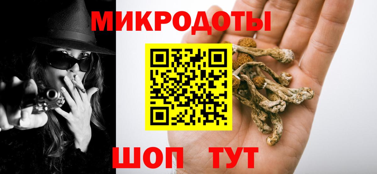 Галлюциногенные грибы MAGIC MUSHROOMS Губкин