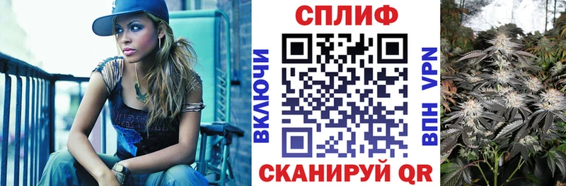 kraken   Губкин  Бошки Шишки SATIVA & INDICA 